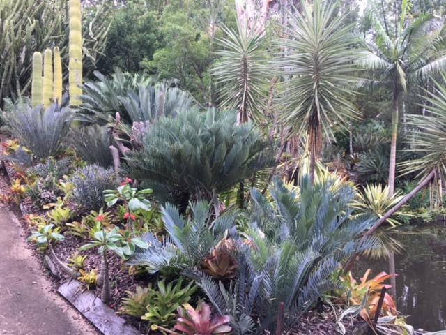 Ancient Gardens Guesthouse & Botanical Gardens Eudlo Bagian luar foto