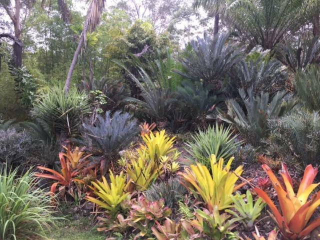 Ancient Gardens Guesthouse & Botanical Gardens Eudlo Bagian luar foto