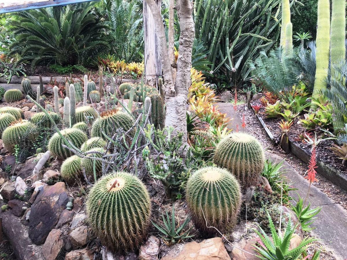 Ancient Gardens Guesthouse & Botanical Gardens Eudlo Bagian luar foto