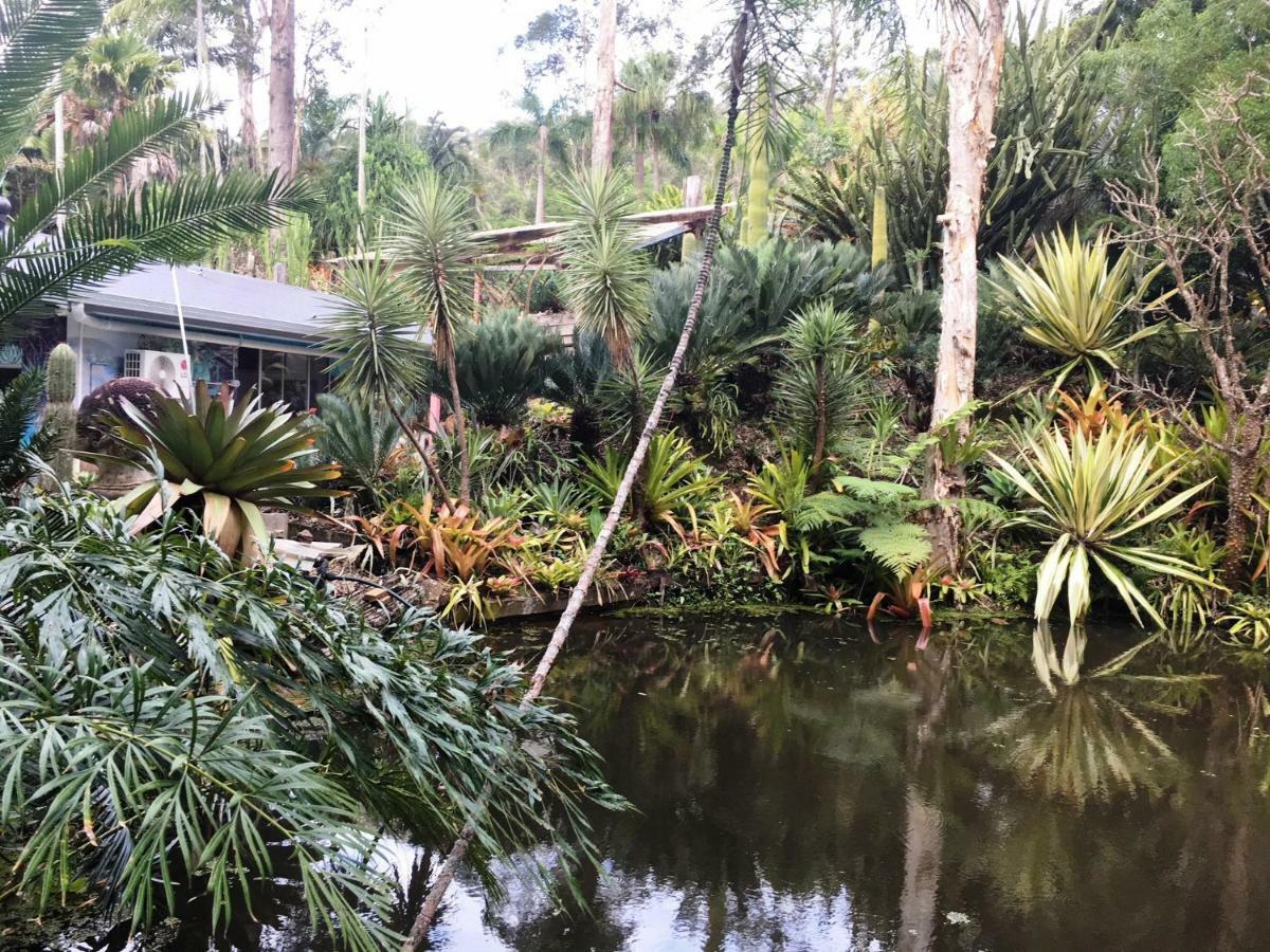 Ancient Gardens Guesthouse & Botanical Gardens Eudlo Bagian luar foto